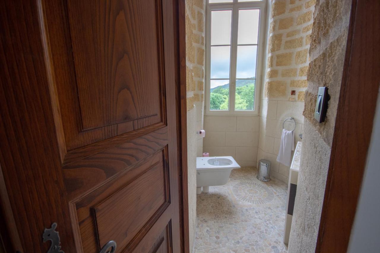 Chateau De Druon Sévignacq-Meyracq Exteriér fotografie
